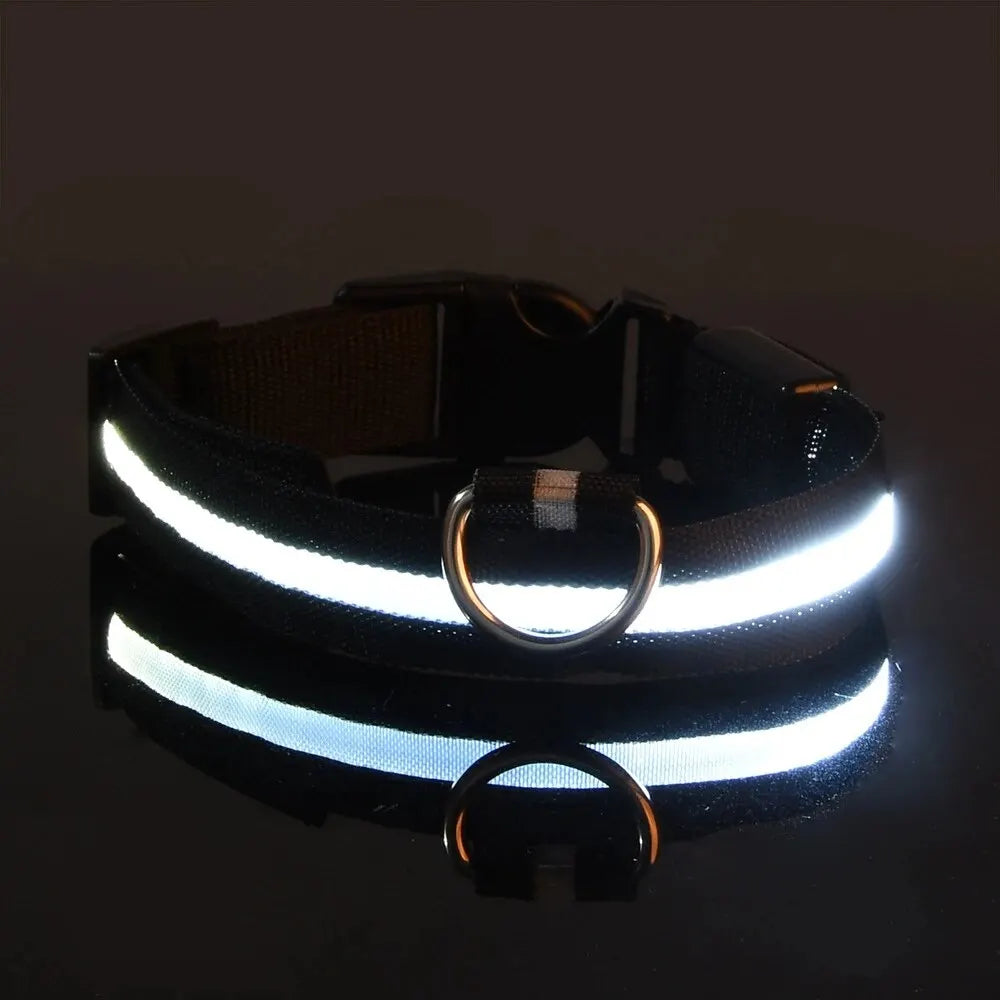 NYLON LED FLASHING COLLAR FOR DOGS