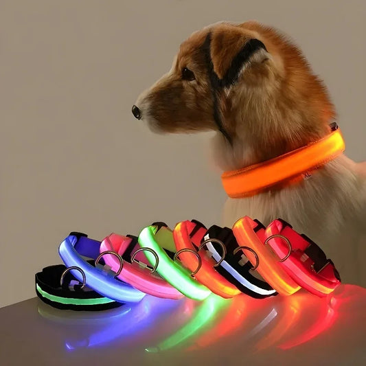 Nylon LED Night Safety Flashing Glow In The Dark Dog Leash Dogs Luminous Fluorescent Pet Dog Collar