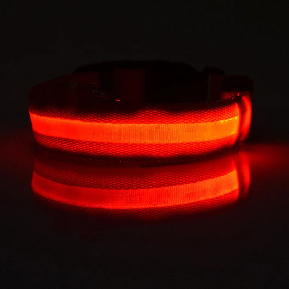 NYLON LED FLASHING COLLAR FOR DOGS