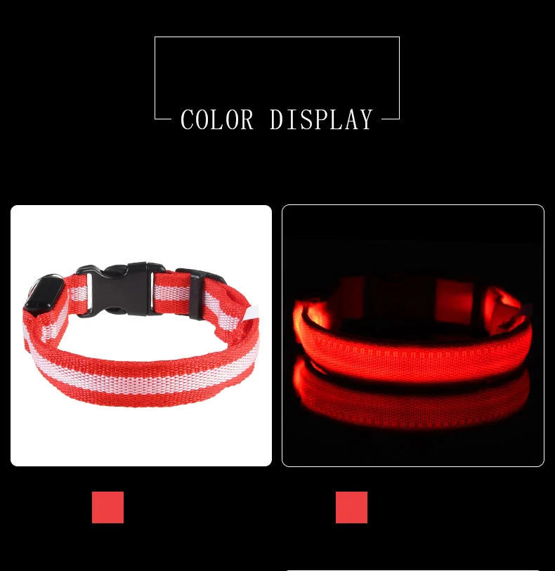 NYLON LED FLASHING COLLAR FOR DOGS